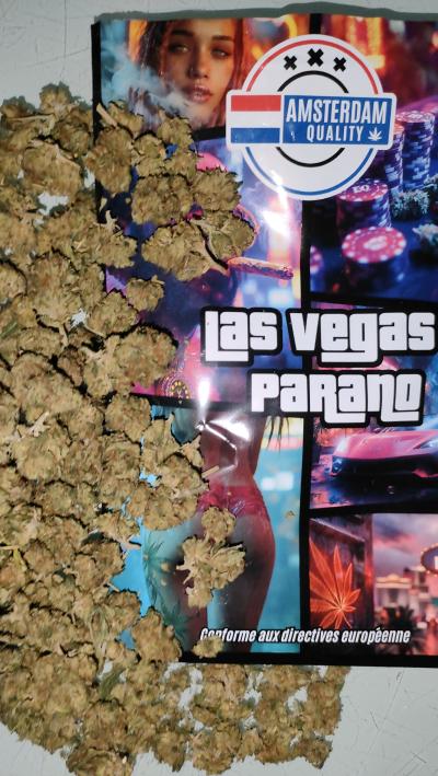 LAS VEGAS PARANO.jpg